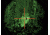 ATN Aries MK-300 reticle view