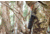 ATN BlazeTrek-325 2.7x - 21x Thermal Imaging Monocular 12 Micron, 384x288, Black, TIMNBLT325