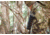 ATN BlazeTrek-325 2.7x - 21x Thermal Imaging Monocular 12 Micron, 384x288, Black, TIMNBLT325