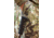 ATN BlazeTrek-325 2.7x - 21x Thermal Imaging Monocular 12 Micron, 384x288, Black, TIMNBLT325