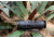 ATN BlazeTrek-325 2.7x - 21x Thermal Imaging Monocular 12 Micron, 384x288, Black, TIMNBLT325
