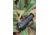 ATN BlazeTrek-325 2.7x - 21x Thermal Imaging Monocular 12 Micron, 384x288, Black, TIMNBLT325