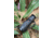 ATN BlazeTrek-325 2.7x - 21x Thermal Imaging Monocular 12 Micron, 384x288, Black, TIMNBLT325