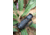 ATN BlazeTrek-325 2.7x - 21x Thermal Imaging Monocular 12 Micron, 384x288, Black, TIMNBLT325