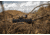 ATN ThOR 4 Thermal Smart HD Rifle Scope, 1-10x19mm, Mossy Oak Break-Up Country, TIWST4641ABC