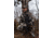 ATN ThOR 4 Thermal Smart HD Rifle Scope, 1-10x19mm, Mossy Oak Elements Terra, TIWST4641AET