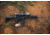ATN ThOR 4 Thermal Smart HD Rifle Scope, 1-10x19mm, Mossy Oak Elements Terra, TIWST4641AET