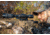 ATN Thor 5 LRF 4-32x 640x480 12 Micron Smart HD Thermal Rifle Scope, 30mm Tube w/ Gen 5 Sensor, Multiple Patterns &amp; Color Options Reticle, Black, TIWST5650LRF