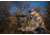 ATN Thor 5 LRF 4-32x 640x480 12 Micron Smart HD Thermal Rifle Scope, 30mm Tube w/ Gen 5 Sensor, Multiple Patterns &amp; Color Options Reticle, Black, TIWST5650LRF