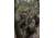 ATN ThOR LT 320 Thermal Rifle Scope, 2-4x30mm, 30mm Tube, Mossy Oak Break-Up Country, TIWSTLT319XBC