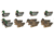 Avery Outdoors ES Mallards, Dozen, Realistic Postures, 70010