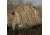 Avery Outdoors KillerWeed Boat Blind Kit,Willow Cypress 47205