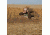 Avery Outdoors KillerWeed,Faded Grass 47408