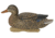 Avery Outdoors PG Mallards-Harvester Pack, 1/2 dozen, 77118