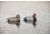Avery Outdoors PG Redheads, 1/2 dozen, 77130
