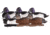 Avery Outdoors PG Ring-Necked Ducks, 1/2 dozen, Realistic Postures, 77133