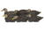 Avery Outdoors PG XD Series Black Ducks-Harvester Pack, 1/2 dozen, Realistic Postures, 76106