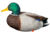 Avian X Fusion Pack APX Mallard Decoy, Brown, Pack of 6, AVX-AVX8061