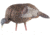 Avian X Turkey Decoy, Feeder, AVX-AVX8007