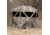 Barronett Blinds Feather Five Hub Hunting Blind, Bloodtrail Backwoods, 4-Person, FF500BW