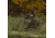 Barronett Blinds Panel Face-Off Hunting Blind, Crater Thrive, Adjustable, FA101CT