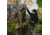 Barronett Blinds Prowler 350 Hunting Blind, Bloodtrail Woodland Camo, 012642022289