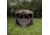 Barronett Blinds Road Runner Hunting Blind, Bloodtrail Woodland, 2-Person, RR200BT