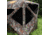 Barronett Blinds Tag Out Hub Hunting Blind with blaze orange safety panels, Bloodtrail Woodland, 3-Person, TA350BT