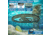 Barska Sharp-200 Professional Metal Detector Field Kit, Black/Green, Medium, BE13962