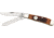 Bear &amp; Son Mini Trapper Fold Knife, HI Polish SS clip and spey Blades, Red Stag Bone Handle BCCRSB07