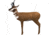 BIGshot Real Wild Pronghorn Antelope Target, Brown 86306