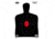 Birchwood Casey Dirty Bird BC27 Silhouette Target, BC-35709