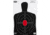 Birchwood Casey Dirty Bird Shadow Targets BC27 12x18 Inch 100 Per Package, BC-35702