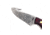 BNB Knives Damascus Guthook Hunter - BNB92345D