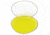 Body Specs BS-CUPS Replacement Lenses
