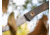 Boker USA Boker Plus Bark Beetle - 02BO039