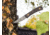 Boker USA Boker Plus Bark Beetle - 02BO039