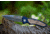 Boker USA Tirpitz Damascus Folding Knife 110190DAM