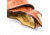 Bond Arms Driving Holster Right Handed Thumbsnap Leather Tan