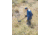 Bounty Hunter Land Ranger Pro Metal Detectors, Black PROLR