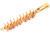 Breakthrough Clean Technologies Phosphorus Bronze Bore Brush, 410 Bore, BT-410BPBBB