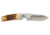 Browning Buckmark Hunter Fixed Blade Knife, 3in, 8Cr13MoV, Drop Point, Bone Handle, Leather, 3220509