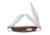 Buck Knives Stockman Folding Knife, 301, Rosewood Dymondwood Handle, 0371BRS5718