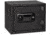 Bulldog Cases &amp; Vaults Personal Digital Fire Safe, Black, BD1090F