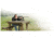 Caldwell Steady Rest NXT 548664