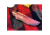 Campcraft Outdoors Camp Knife, 8.75in Overall, 4in, 1095HC Steel Blade, Pecan Wood Handle, Leather Sheath, 640117981078