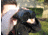 Carson Binocular Sunshades, Black BX-42