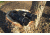 Carson Binocular Sunshades, Black BX-42