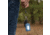 Carson Optical LED Keychain Flashlight, COKL10