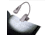 Carson Ultra-Bright Fully Adjustable 6 LED Book Light, Grey FL-66